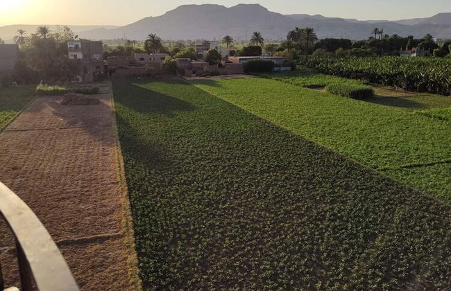 Lemon Tree Guest House and Swimming Pool - Foto 22