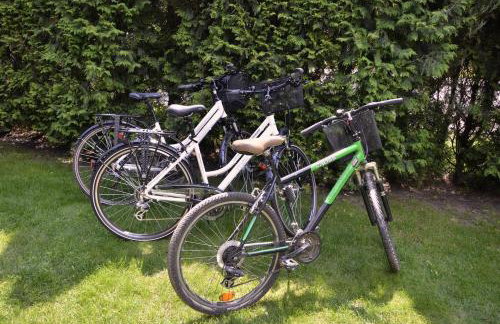 Apartament Promyczek - Foto 24