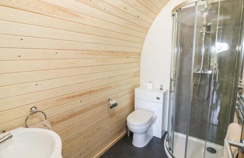 Ailsa Craig - Photo 14