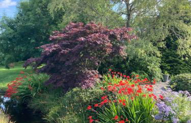 Clashmore Wood - Foto 42