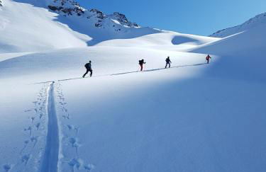 Faltnerhof - Foto 58