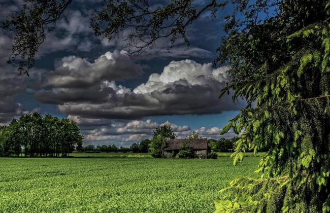 Farmhouse in Geesteren Near Forests - Photo 22