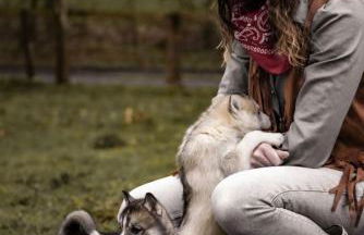 Le Ranch Normand - Foto 8