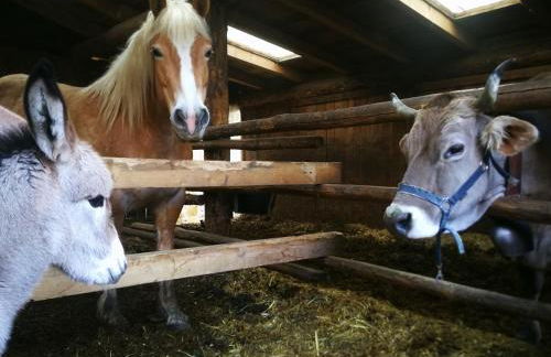 Agriturismo Alle Baite - Foto 77