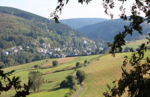 Ferienwohnung in der Nähe von Willingen - Foto 67