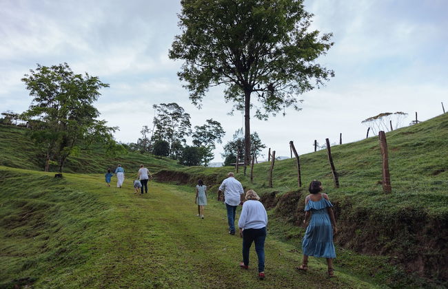 La Finca Azul - Foto 51