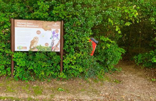 Forest lodge - Foto 54