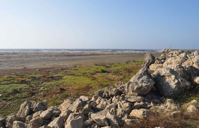 Bocas de Ceniza Day Trip - Photo 3