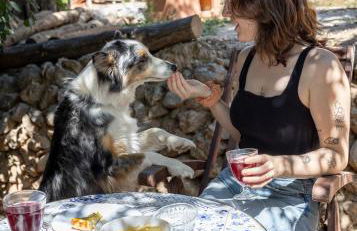 La Cambra de la Clau - Foto 14