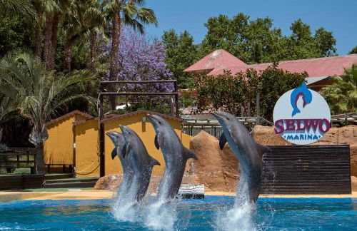 Apart Benálmadena with SWIMMING POOL open all year - Photo 43