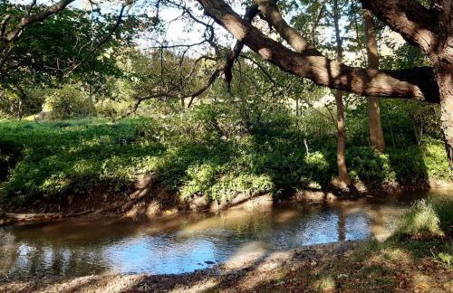 Ruhige Ferienwohnung mit Privatparkplatz - Foto 14