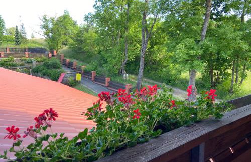 Panorama Lake Resort - Foto 9