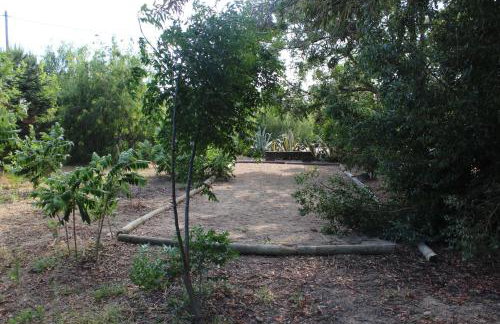 Mas Fany et Olivier - Foto 19