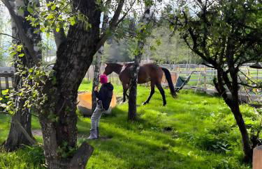 Das Falken Nest - Foto 14