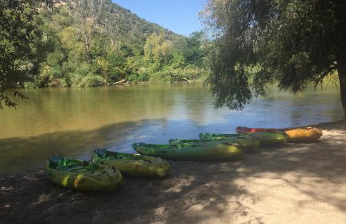 Hellios Alexandros - Foto 45