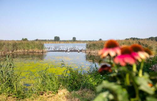 Ferienhaus Im Teichland Linum - Photo 26
