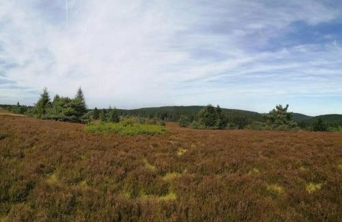 Apartment Katya - Photo 46