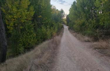 El rincón de cauca - Foto 24