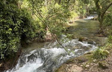 El Retoño - Photo 21