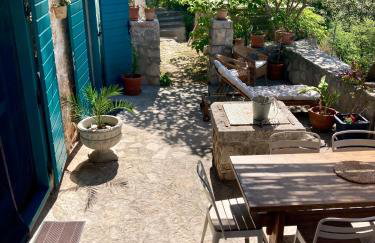 Blue Dream - Foto 15