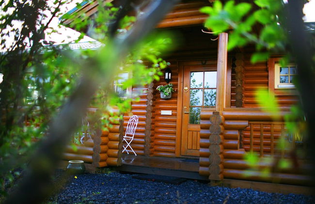 Log Cabin at White River - Foto 1
