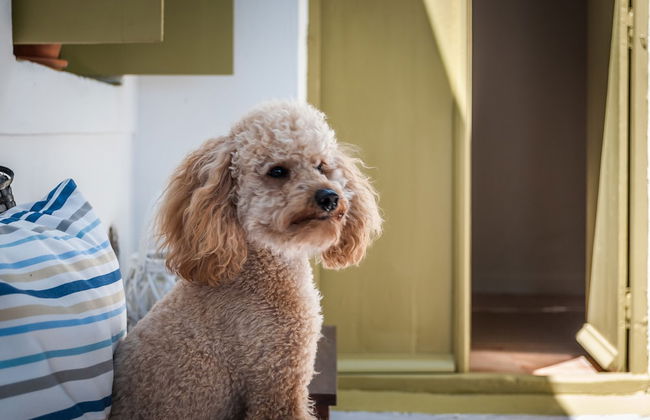 Villa Lord - Foto 73