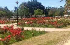 El Balcón de Huelin - Photo 22