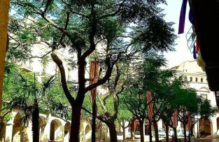 Com a casa - Photo 33