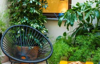 Los Patios de Feria - Secret Garden - Photo 23