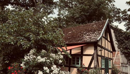 Auszeit vom Alltag in urigem Ferienhaus in idyllischer Natur im Dümmer-Weserland, Sauna & Kraniche - Foto 3