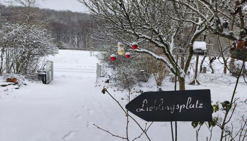 Casa Verde Sinnerthal - Foto 4