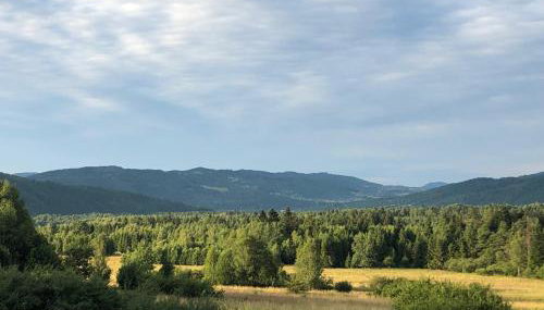 domki-sopotnia - Foto 5