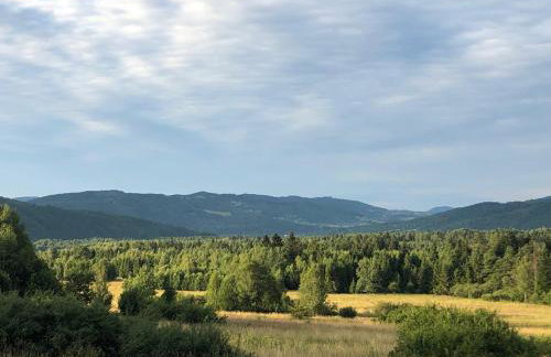 domki-sopotnia - Foto 5