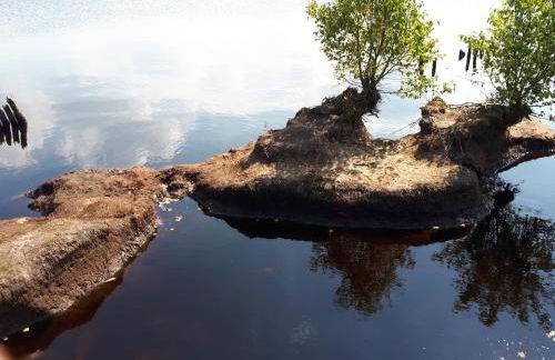Familienurlaub in Ostfriesland für max 7 Pers in 2 Wohnungen, auch Einzeln Wohnungen - Photo 76