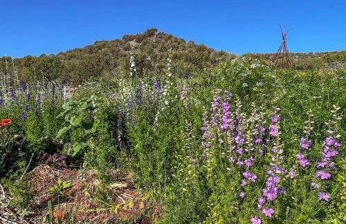 Serene Studio Near Wineries, Oak Creek and Sedona - Foto 32