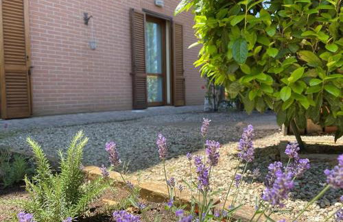 L'Olivo nel Chianti - Photo 17