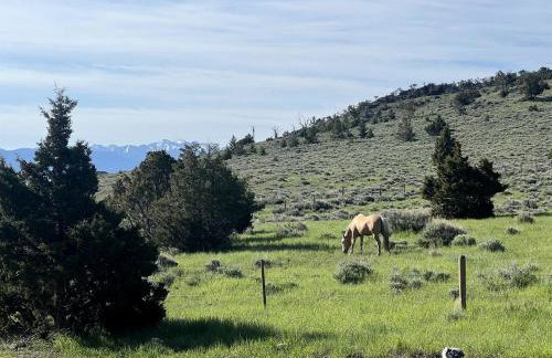 Charming Cabin with Mountain Views Near Madison River in Ennis, Montana - Foto 24