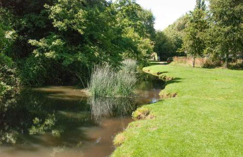 The Old Monkey, a quirky bolthole on the edge of a historic Market Town - Foto 11