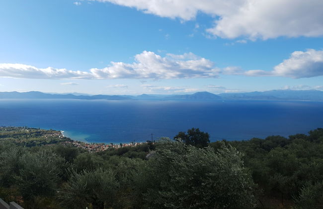 Gems of Pinakates - Foto 73