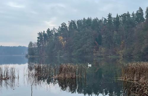 Stodoła Drwęck - Foto 17