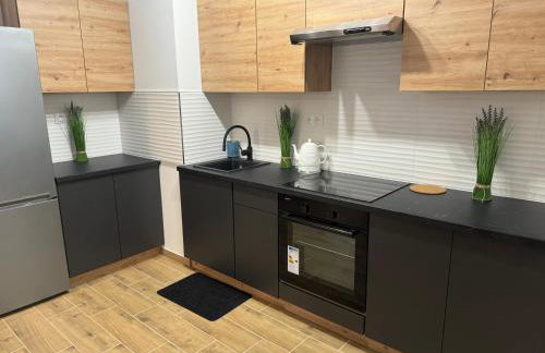 Apartament Dolina Baryczy - Foto 5