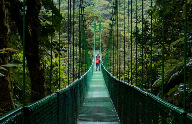 Tour dei ponti sospesi della foresta nebulosa di Monteverde - Foto 3
