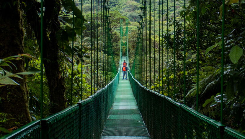 Monteverde Cloud Forest Suspension Bridges Tour - Foto 3