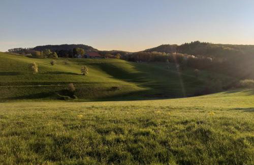 Fachwerkhaus mitten in der Natur - Foto 21