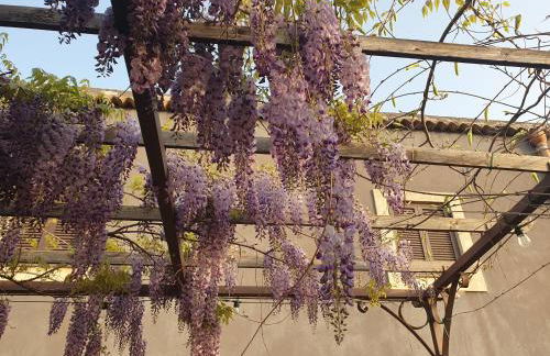 Casa Etnea - Foto 40