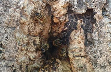 Ferienhaus Dreier-Ley - Foto 18