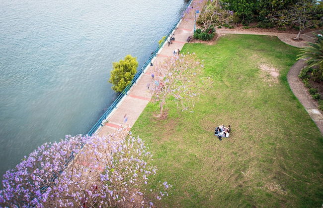 Goldsborough Place Apartments - Foto 44