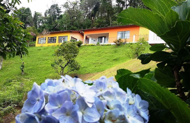 Chácara do Alemão - Recanto Jd.Silvestre - Foto 43