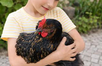 Familientraum in Gehnähe zu 3 Surfstränden - Foto 36