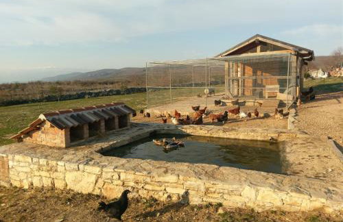 Family friendly house with a swimming pool Popovici, Zagora - 14074 - Photo 11